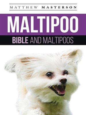 cover image of Maltipoo  Bible and Maltipoos